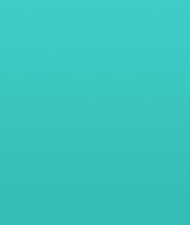 portfolio-placeholder